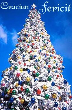 Christmas